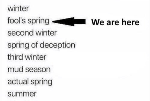 WillFoxxTV's tweet image. Don’t be fooled, there’s more yet ❄️ #foolsspring