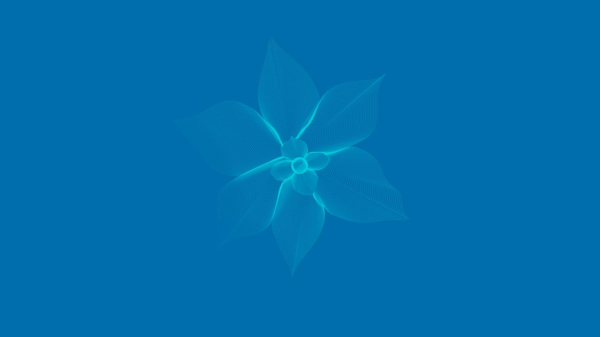 creativecloud's tweet image. Floral forms depicted in elegant linear designs by Rutger Groothedde, made using @Photoshop and @Illustrator: adobe.ly/2tEMhUt