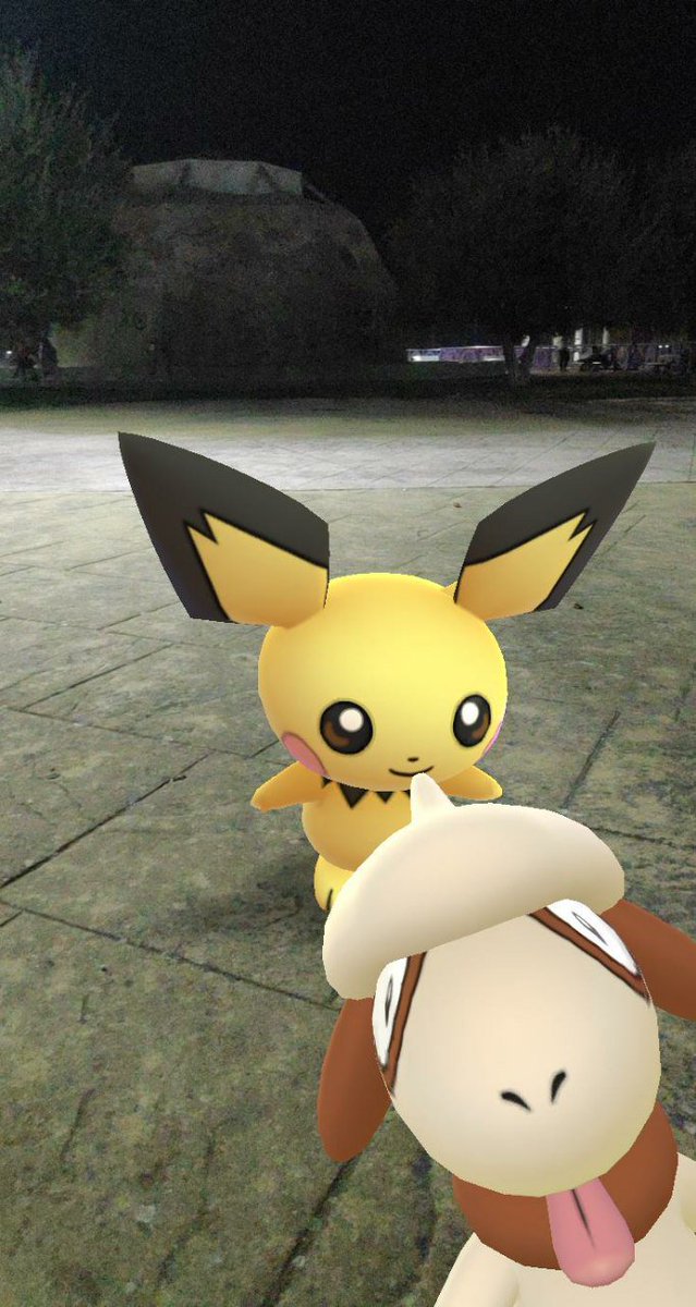 Smeargle salvaje apareció!