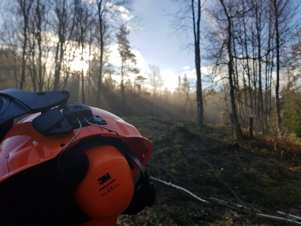 thewicked's tweet photo. Har kommit på varför motorsågar har så små bränsletankar. Det är för att folk som jag inte skulle jobba på utan paus och bli uttorkade och dö.
#skogsarbete #strålandesol #vätskepaus #soppatorsk https://t.co/P84uicnVnU
