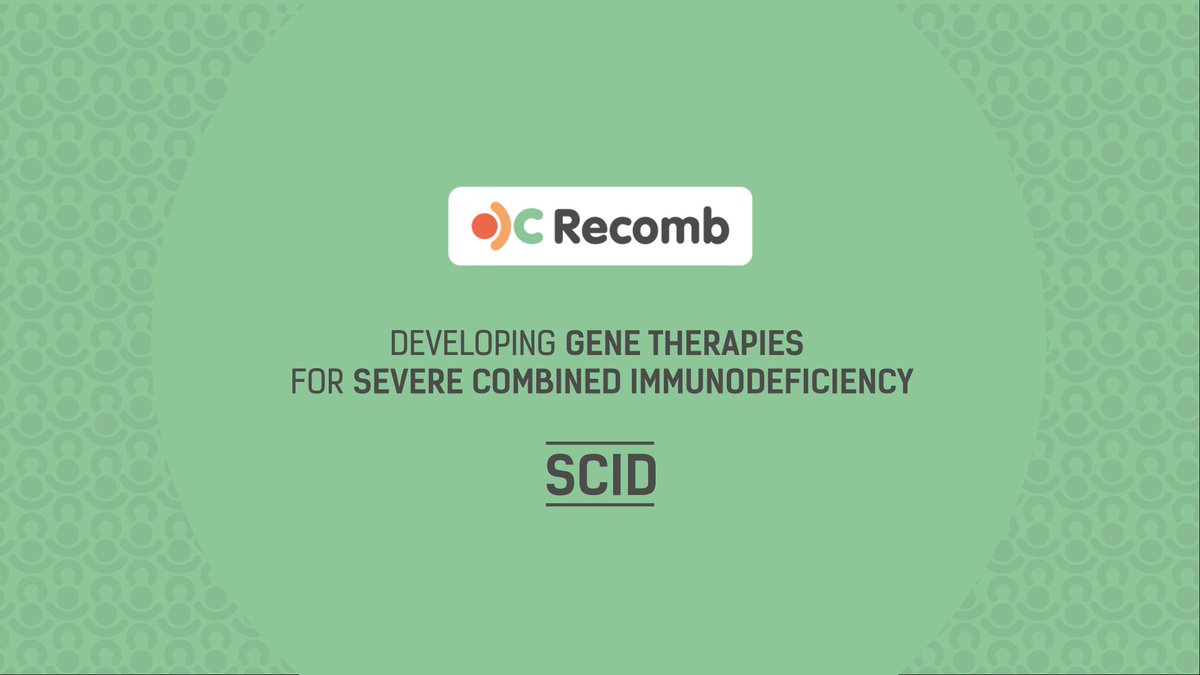 ipopi_info's tweet photo. Recomb is excited to announce the release of a 2-minute video that explains what Severe Combined Immunodeficiency #SCID is, what the @RecombEU project is about and its’ medical and societal impact. #RecombEU https://t.co/h5tKx1kZRM https://t.co/tnINsWh2aD