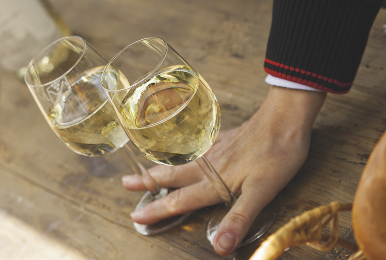ArblasterClarke's tweet photo. Visit the iconic Gaja Estate in #Piedmont, tour Champagne @TaittingerUK in France or be welcomed at @FamilleHugel in the gorgeous #Alsace wine region. Browse our last-minute #wine tours here...

https://t.co/lwJaDcCZte https://t.co/Jr9E8tKosH