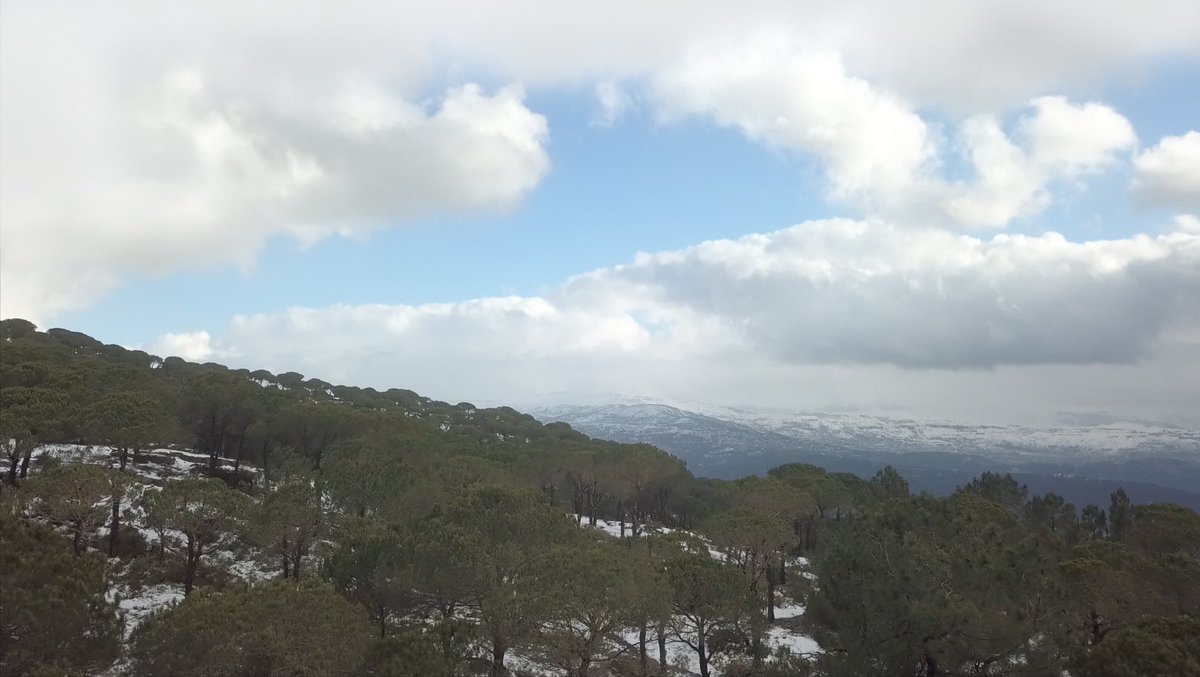 FFARealEstate's tweet image. Bring your dream home to life at Naas Springs, Bikfaya 🏡🌳
To learn more about the project, call +961 1 960 777 or visit our website: 
ffarealestate.com/development-pr…

#landplot #buyaland