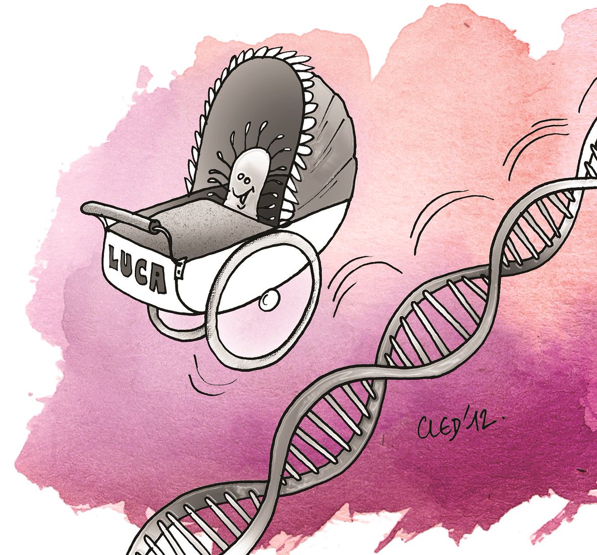 AltecCCSTI's tweet photo. #RADIO D'où vient la vie ? Une question courte mais fondamentale ! Retour sur les différentes théories scientifiques en moins de 15 min ⏱️ A écouter dès maintenant en #replay sur @RadioB_Bourg #BullesDeSciences https://t.co/oAncNrN8a7 // Dessin #Cled12 issu de notre expo #BigBang https://t.co/E5KqvzpdbZ