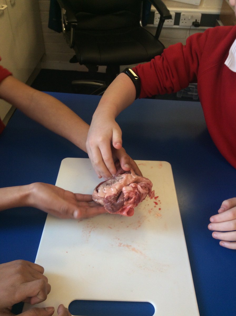 Some incredible hands-on science in Year 5 today with <a href="/hands_science/">Hands-On-Science</a> Our children are inspired!