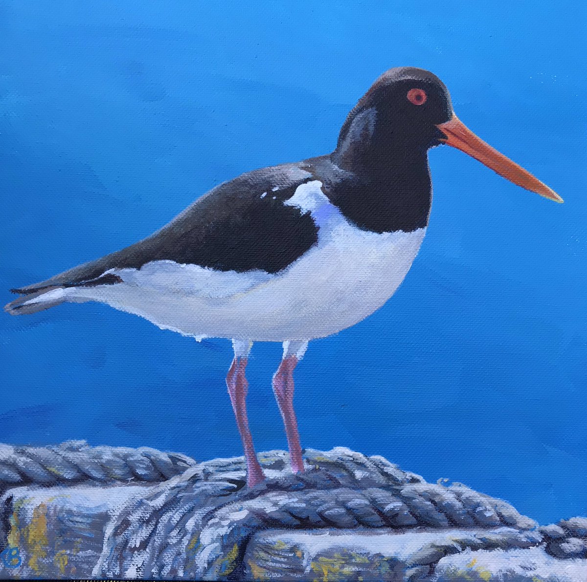 Kate Batchelor tweet media