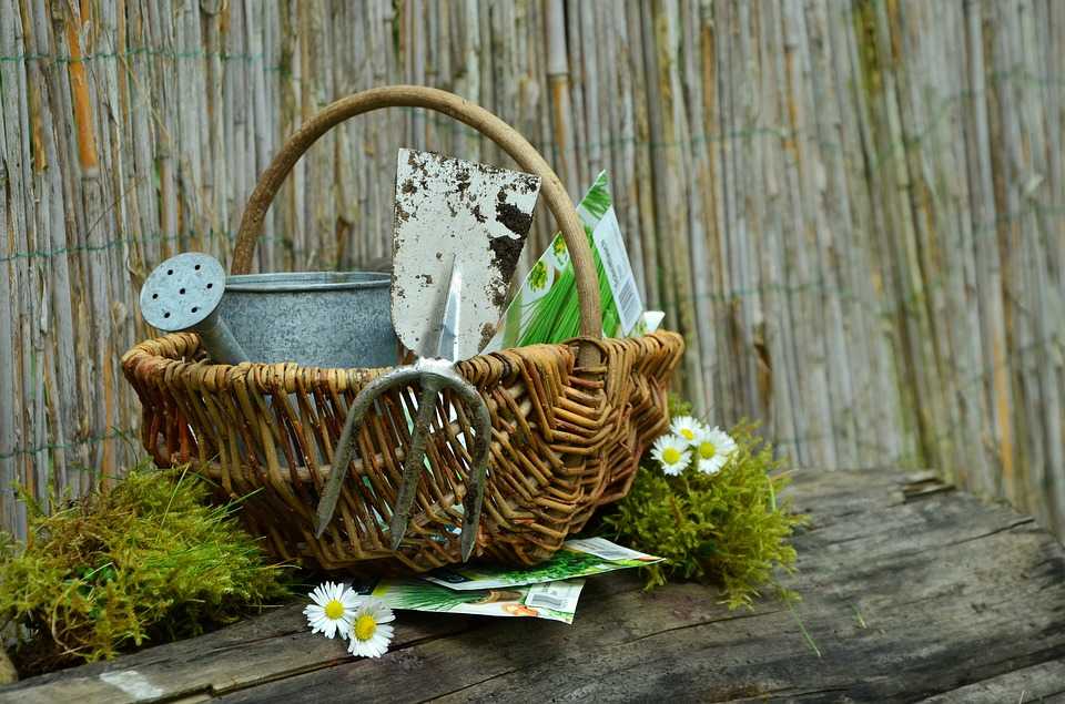 BurfordChurch's tweet photo. Are you free tomorrow (Wednesday 27th) from 10:00? We are looking for volunteers to help us tidy the Vicarage garden. It looks like it will be wonderful weather for it with highs of 15*C. https://t.co/8v1C2iJ1x4