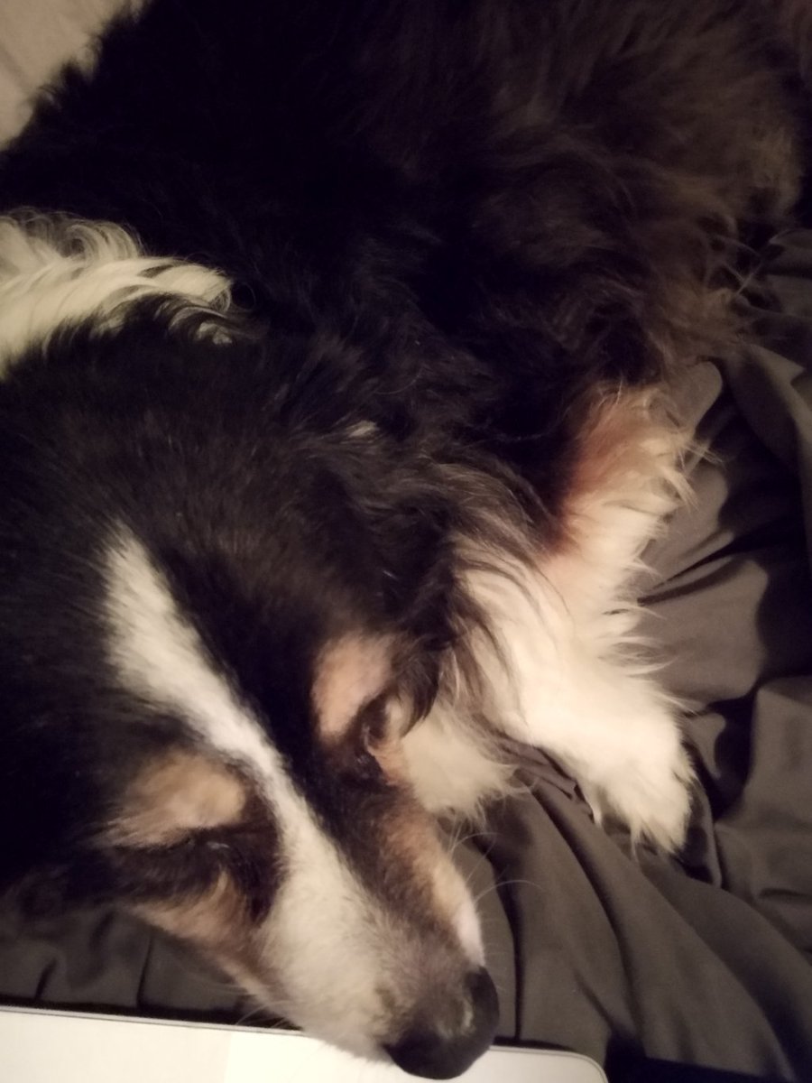 Vicki Turner Goodwin (@vickgoodwin) on Twitter photo The Four AM Renegade vickgoodwin.wordpress.com/2019/02/26/the… The Four AM Renegade vickgoodwin.wordpress.com/2019/02/26/the…