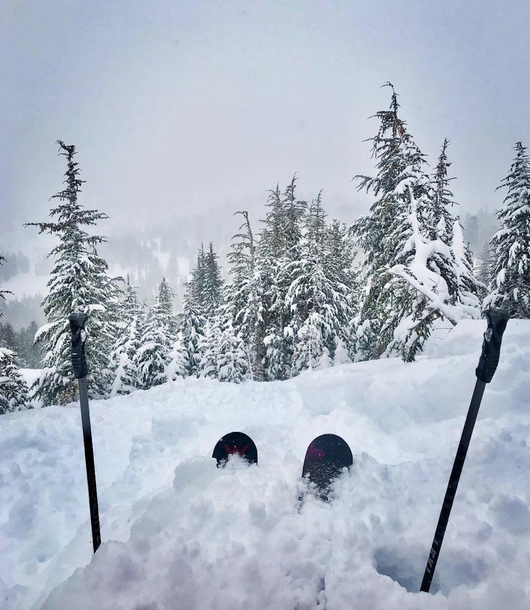 It's safe to say, it was a good day.
Photo: @swytong