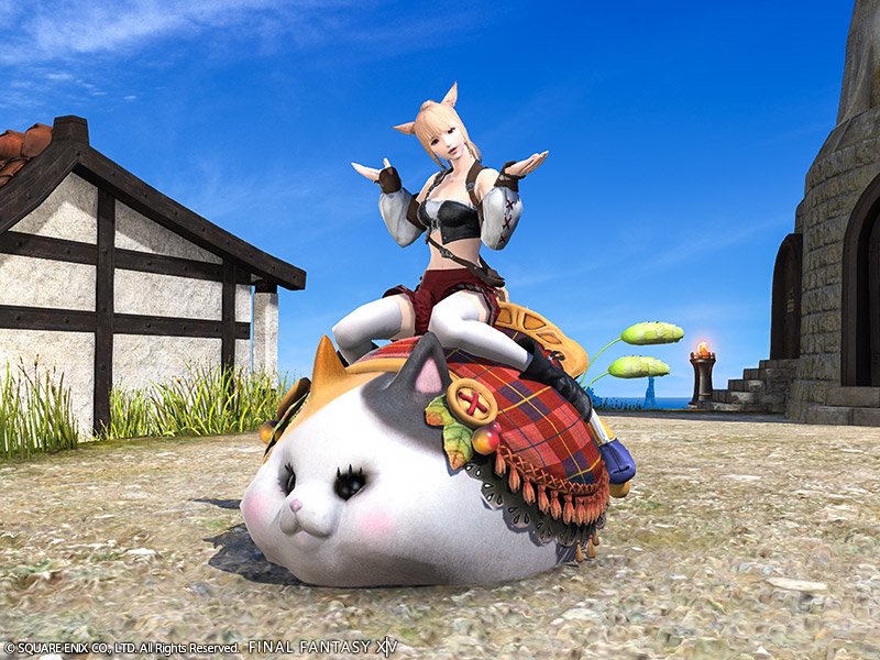 Skai_Firstar's tweet photo. Alrighty who wants to take home this chonkers? 

If this tweet gets more than 100 RTs there will be a 2nd winner. The rules are as follows.

💚Like and Retweet
💚Follow not required 
💚Ends March 1st
💚Winner will be drawn at 7pm CST
💚No give away or bot accounts https://t.co/VLERqMwHRG