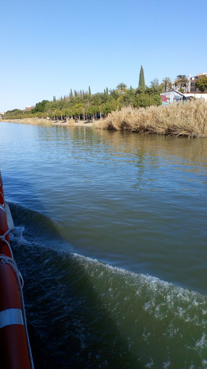 CTarteside's tweet photo. Y paseo por el Guadalquivir https://t.co/2K6btcQ9yN