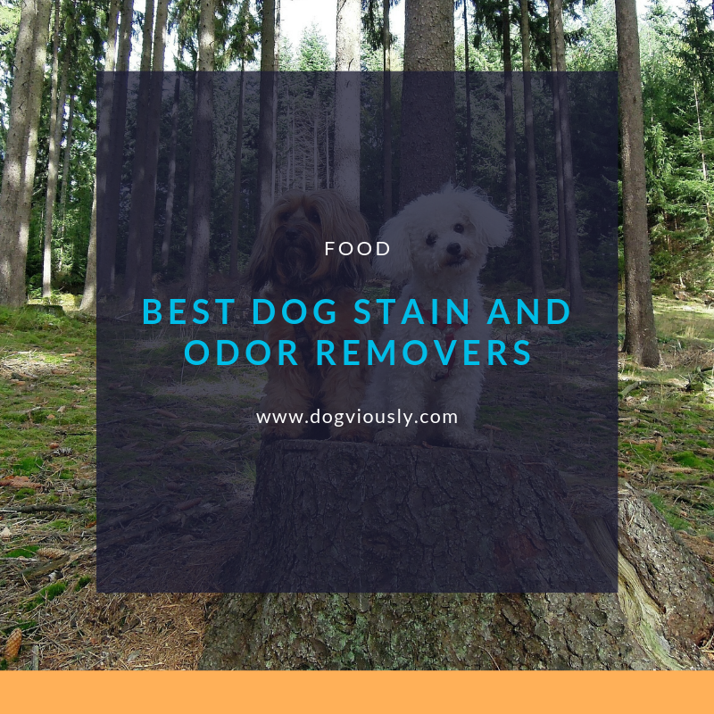 dogviously's tweet image. Dogs go out, they play and when they come back inside the inevitable happens, stained carpet or furniture. Read our blog to find the best dog stain and odor removers. 
goo.gl/qiUNJL