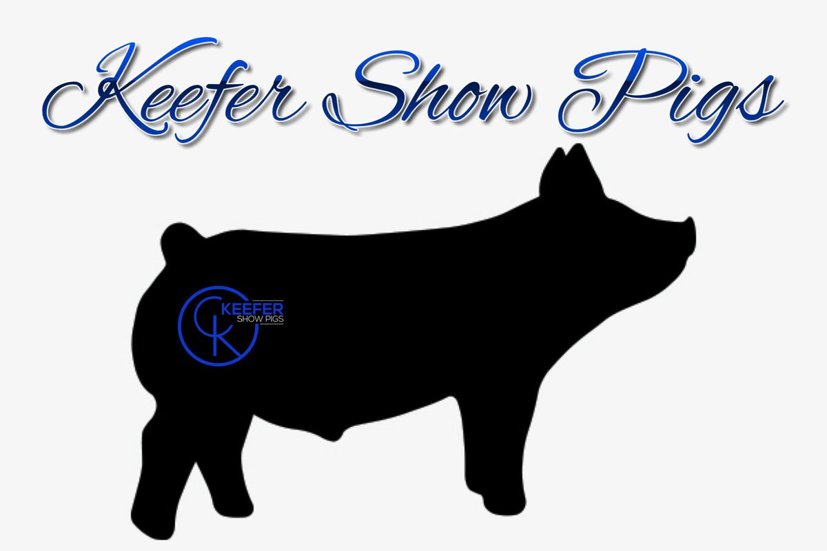 keefershowpigs's tweet photo. https://t.co/wa1lyLo25T