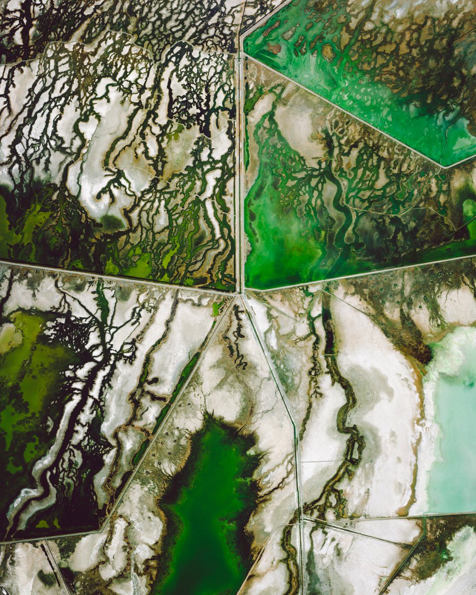 DOverview's tweet photo. Fish Springs National Wildlife Refuge is a wetland oasis in the Great Basin Desert of western Utah, USA. See more here: https://t.co/GKJZk6iUpx /// #dailyoverview #aerialphotography #earth #nature #picoftheday #FishSprings #wildlife #Utah #wetlands https://t.co/IOcVEzOrNw