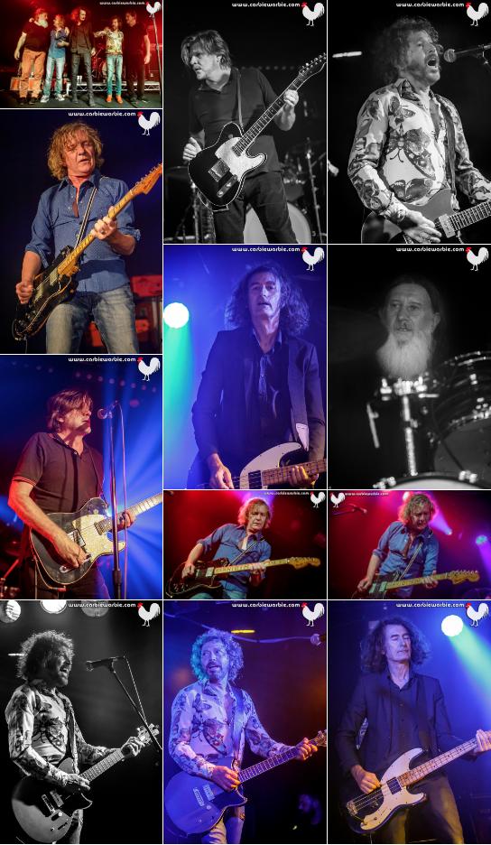 CarbieWarbie's tweet photo. #TheBeasts honouring the legacy of #BeastsOfBourbon after losing #SpencerPJones & #BrianHooper. Last time it was an emotional rollercoaster at @PrinceBandroom but this time, it was a celebration to dearly departed legends. Support @Dallas_Crane! โค๏ธโก๏ธ๐
https://t.co/8weWcANqeR https://t.co/URi3oEIL0W