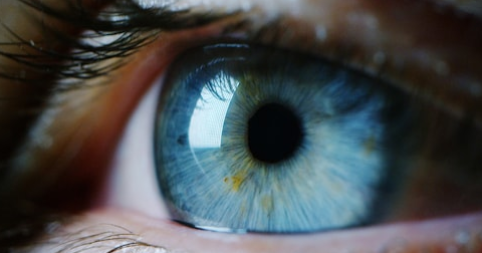 NewDecisionTher's tweet photo. Are Eyes Really the #Window_to_the_Soul? #Iris_patterns reveal #personality_traits, #genetic_gifts, #life_purpose, #authentic_living, mate attraction tendencies, &amp; more. #Rayid #Eye_Reading #iris_analysis by #Michael_George_Phillips. https://t.co/3NqHS9vHlE https://t.co/tHrNxB0Gy7