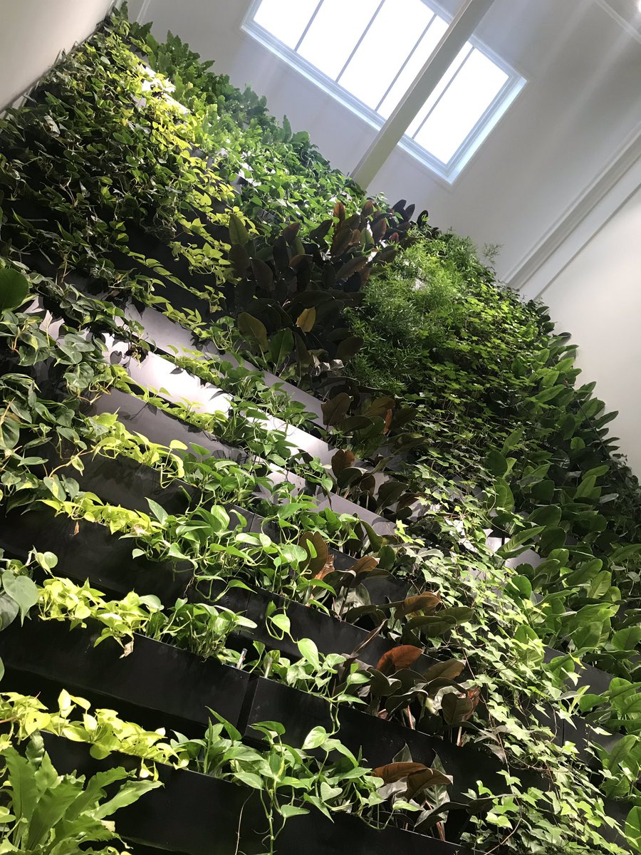 Gister hebben wij het project Prins Hendrikkade 142 te Amsterdam opgeleverd aan de Gemeente Amsterdam. Een prettige samenwerking met een tevreden opdrachtgever. #gemeente #amsterdam #vastgoed #partner