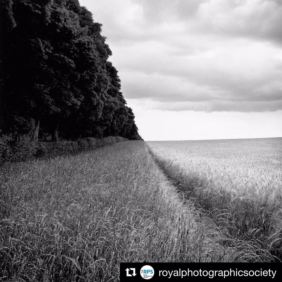 PaulHartArtist's tweet photo. JOIN ME over on the #RPS @instagram feed sharing darkroom pics + images from FARMED + DRAINED
Here’s Anmer which is currently being exhibited @The_RPS #IPE161 in #Bristol til 24 March!
@DewiLewis @TPGallery @BelieveInFilm @EMULSIVEfilm @FilmsnotDead @ILFORDPhoto https://t.co/AZFWcBVFUz