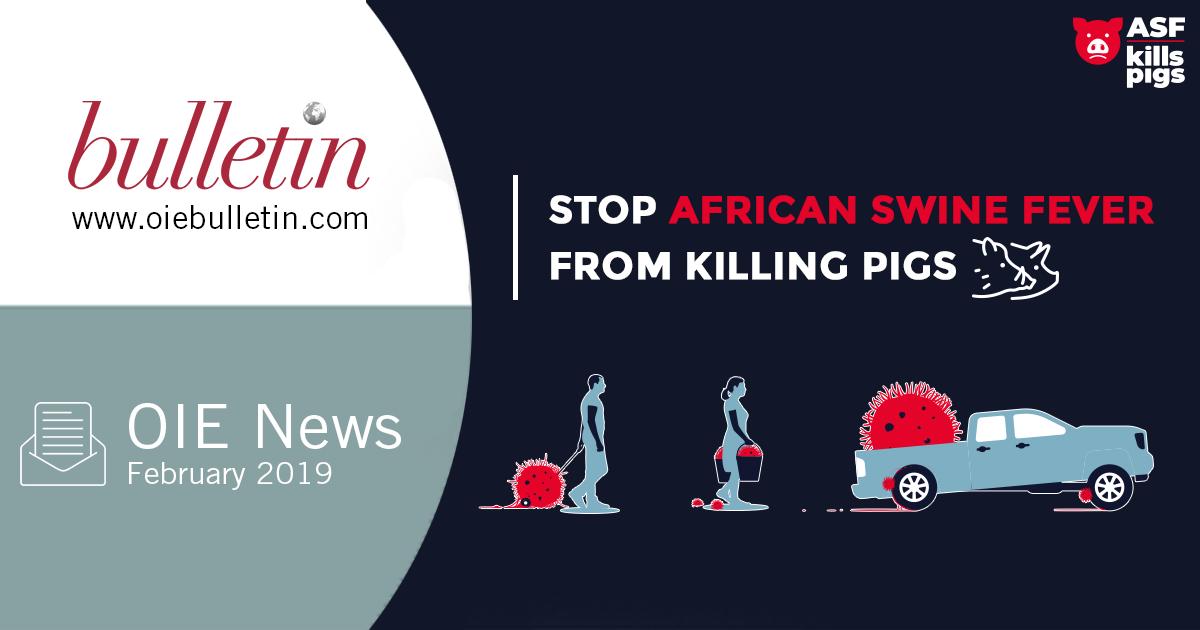 STOP African swine fever from killing pigs. Read what you can do to stop the spread of this deadly pig disease in the latest issue of OIE News: mailchi.mp/oie.int/stop-a…