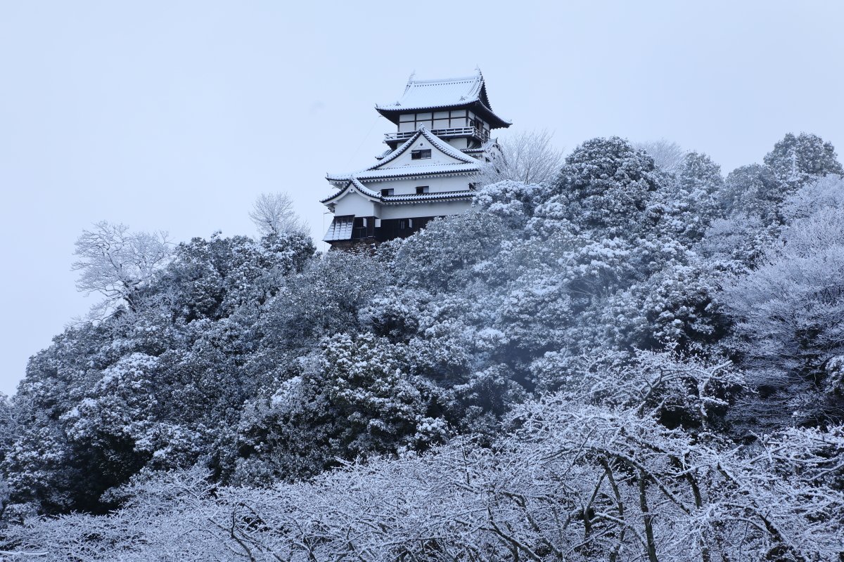 SHIKIBU_Automat's tweet photo. Winter in Japan.(33)
- Inuyama castle in Inuyama city, Aichi Prefecture, Japan.
(C)@ann6477
#Japan #Aichi #CoolJapan? #ColdJapan #JapaneseWinter #TraditionalJapan #TraditionalCastle #TōkaiRegion #Fantastic #Winter #Snow #WoodenBuilding #Castle #JapaneseCastle https://t.co/26Zg4sbIGz