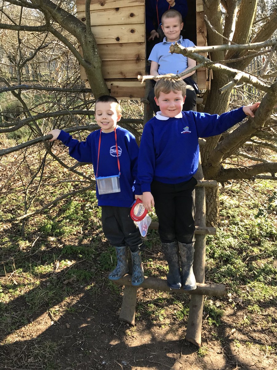 Samcoy1's tweet image. Great morning back @Benjamin_Adlard lovely to be back and even had time to explore our new tree house. Thanks Mark. Kids are loving it