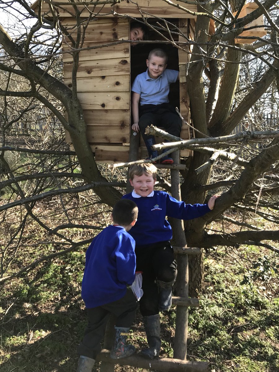 Samcoy1's tweet image. Great morning back @Benjamin_Adlard lovely to be back and even had time to explore our new tree house. Thanks Mark. Kids are loving it