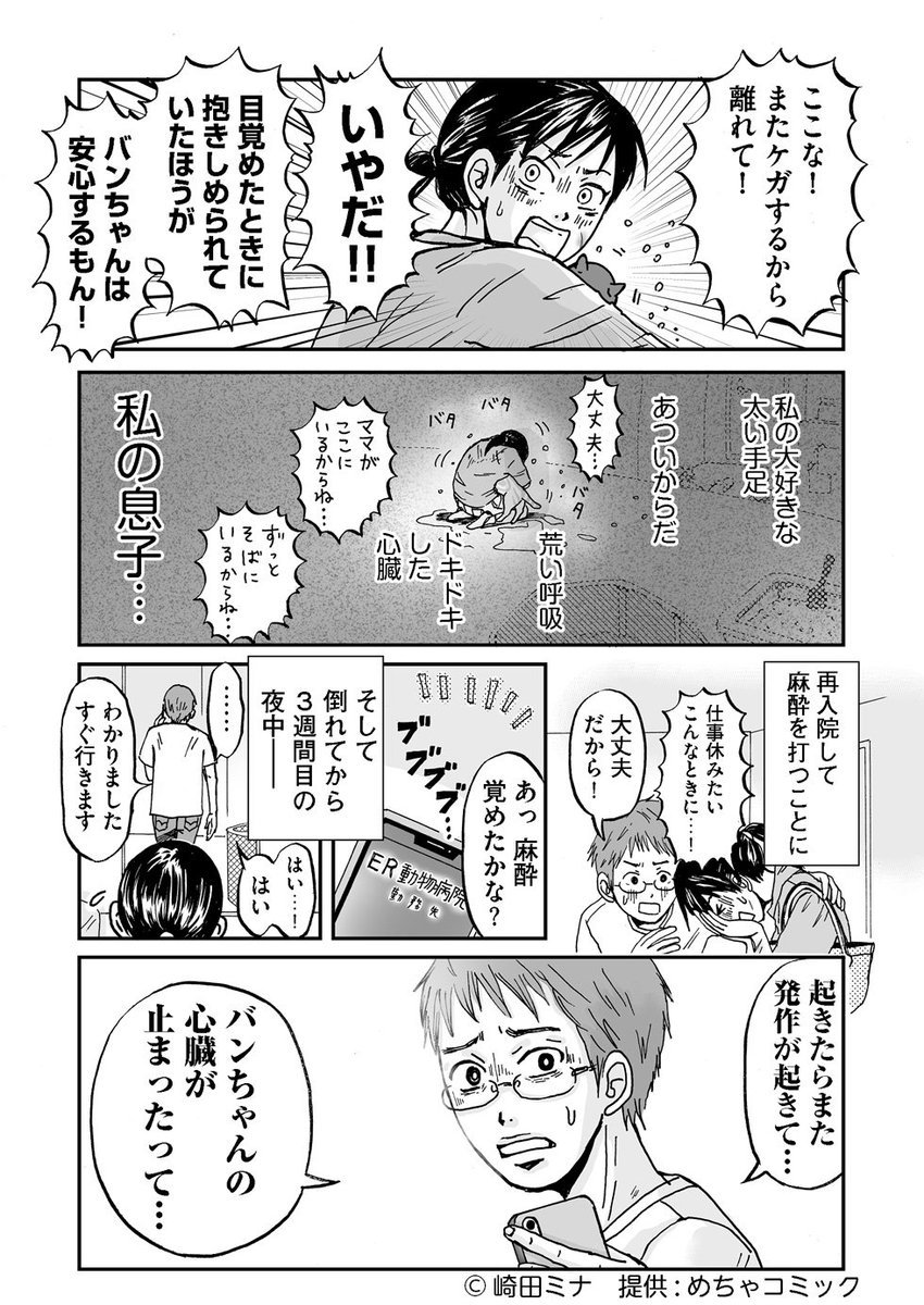 更新しました！
【世界を止めて】猫のバンちゃんとの十数年のお話。
［第8話・予感］
#めちゃコミック　#火曜連載　
第1話から→ 