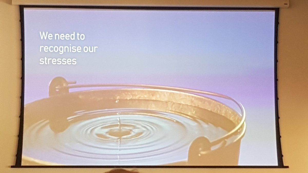 morrowman75's tweet image. Learning to empty our buckets... #RCEMacp #monkeesed #wellbeing