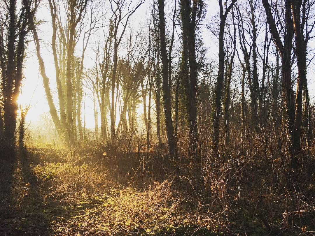 Jackson & Jackson tweet media