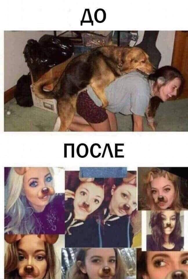 iamselecta's tweet image. 😸