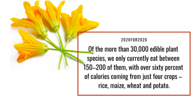 EATforum's tweet photo. "With a 2020 deadline, we need immediate action to safeguard the world's biodiversity," says @paulnewnham. #2020FOR2020 calls on chef around the world to explore new ingredients for a diverse, sustainable &amp; delicious future. Here’s how: https://t.co/U62iCwQbpa @FoodForever2020 https://t.co/pln2tGH5Yz