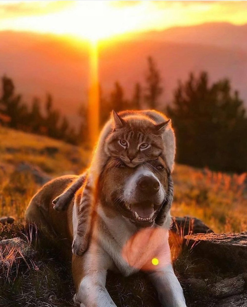 Seninle şöyle.. Neyse bugün de hayal kurmasam daha iyi.