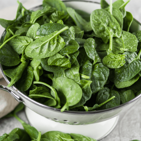 Italprod's tweet photo. Can A Vegan Diet Cause Hair Loss? Iron and Male Hair Loss https://t.co/l33r8OMcbh https://t.co/nflFch3hQm