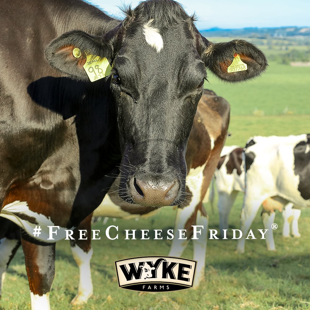 Don't forget we run our #FreeCheeseFriday® weekly! To enter to #WIN a pack of our award-winning Cheddar simply RT&amp;F, plus don't forget to tag your friends! One winner will be announced after 5pm on Friday.