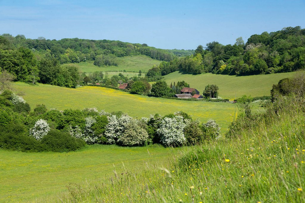 Darent Valley Landscape Partnership Scheme tweet media