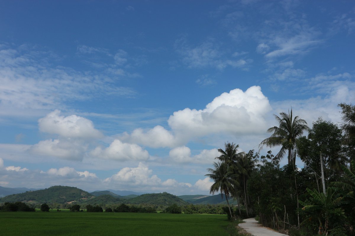 MagicalVietnam's tweet photo. Have you ever been to the countryside of Vietnam?
#MagicalVietnam #travelasia #countryside #Vietnamtourism https://t.co/LKTK8NCPbG