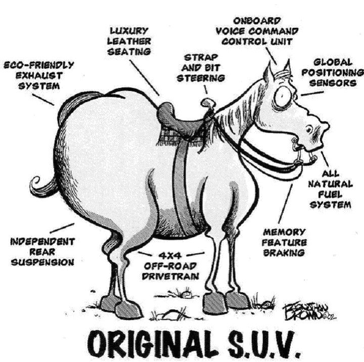 SaharaSharm's tweet photo. A horse is the original 4x4 experience. A perfect green 'hoof'print! Natural gas! Eco friendly. Off road spec - rear suspension, built in GPS &amp; panoramic https://t.co/yFrNjnoFym knowledge. Leather seats. Do your 'bit' for the environment. #Horses #TravelTuesday #ThrillSeekers https://t.co/06kbnIe9ea