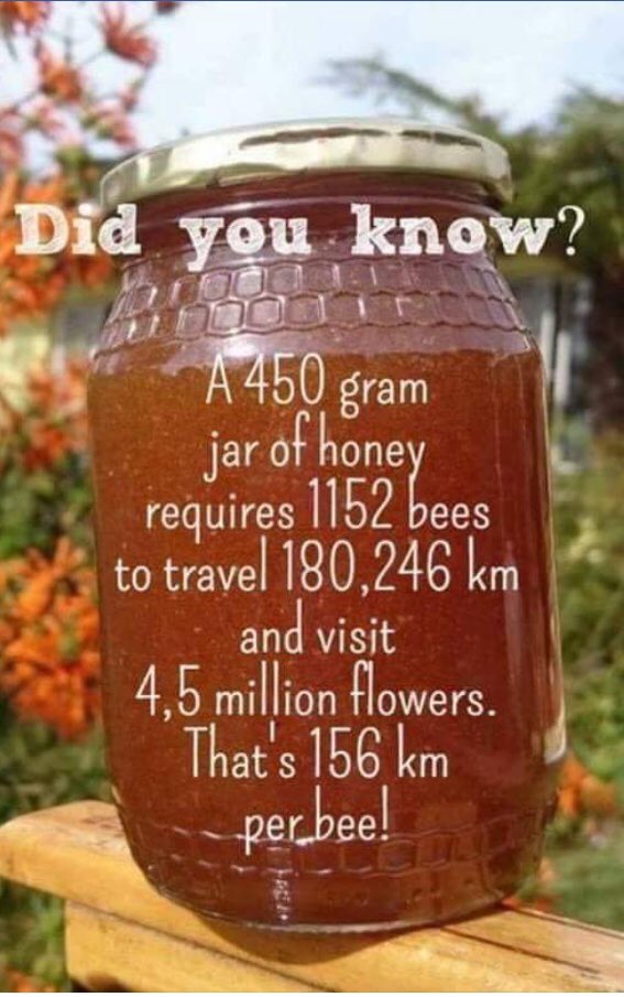 Wow! We love you 🐝🐝🐝.   🍯🍷