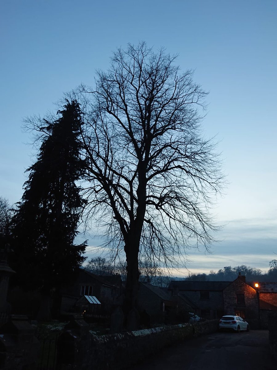 LongdogPro's tweet photo. ⚰️This tree, situated in a graveyard, was the only tree around without any leaves🍁 #GraveYard #Tree #Horror #BTS #EnglishVillage #Location #RIP #DeadCentreOfTown #Wondering #LongdogProductions #Filming #Interesting #Crew #Dusk #ProductionCompany #Television #Great #Fun #Movies https://t.co/tmbLCvjSjW