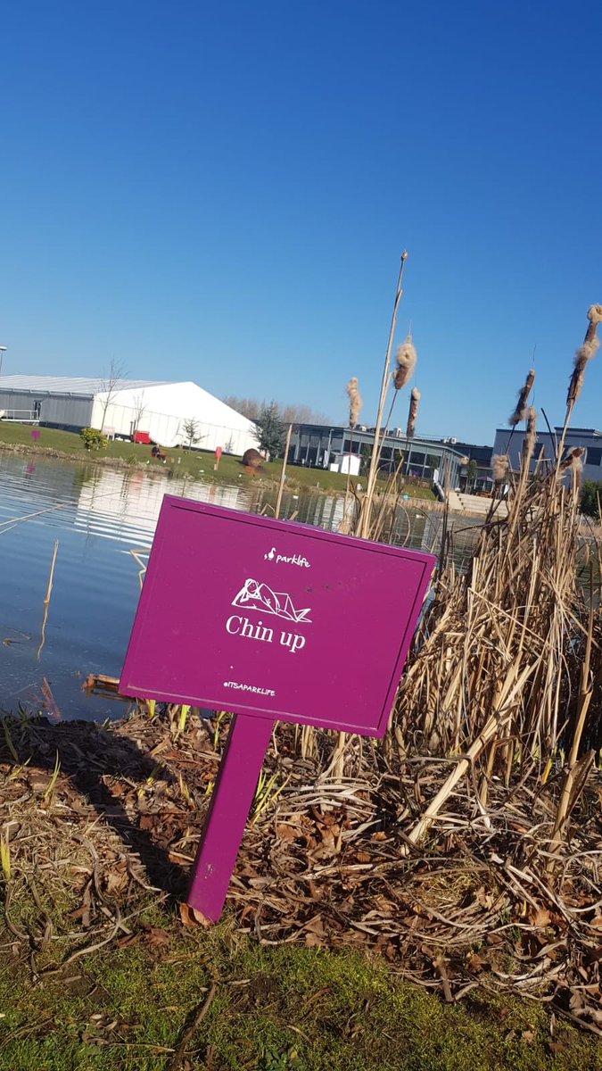 It’s a glorious Parklike 😎😎