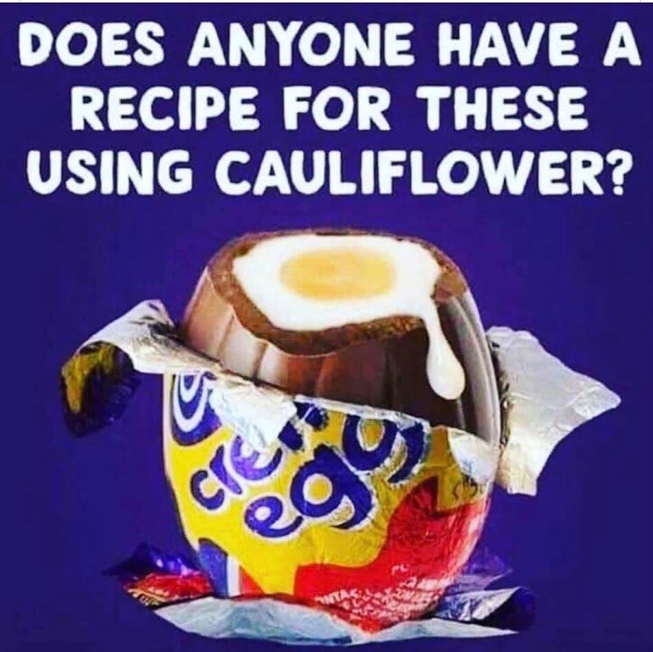 HillbillyRun's tweet image. #dietmemes #paleohumor #ketofunny