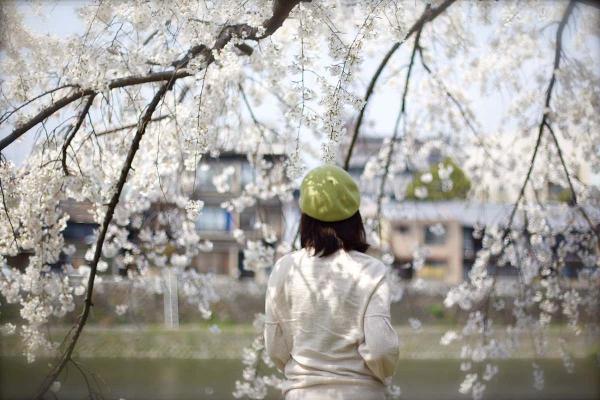 桜の季節が待ち遠しい🌸
今日もおつかれさまでした！

#東京カメラ #桜 #写真好きな人と繋がりたい  #ファインダー越しの私の世界 #キリトリセカイ  #広がり同盟  #お写んぽ #お散歩フォト #はなまっぷ  #私の花の写真 #花撮り人 #flowers #nature #naturallovers #梅 #京都 #鴨川