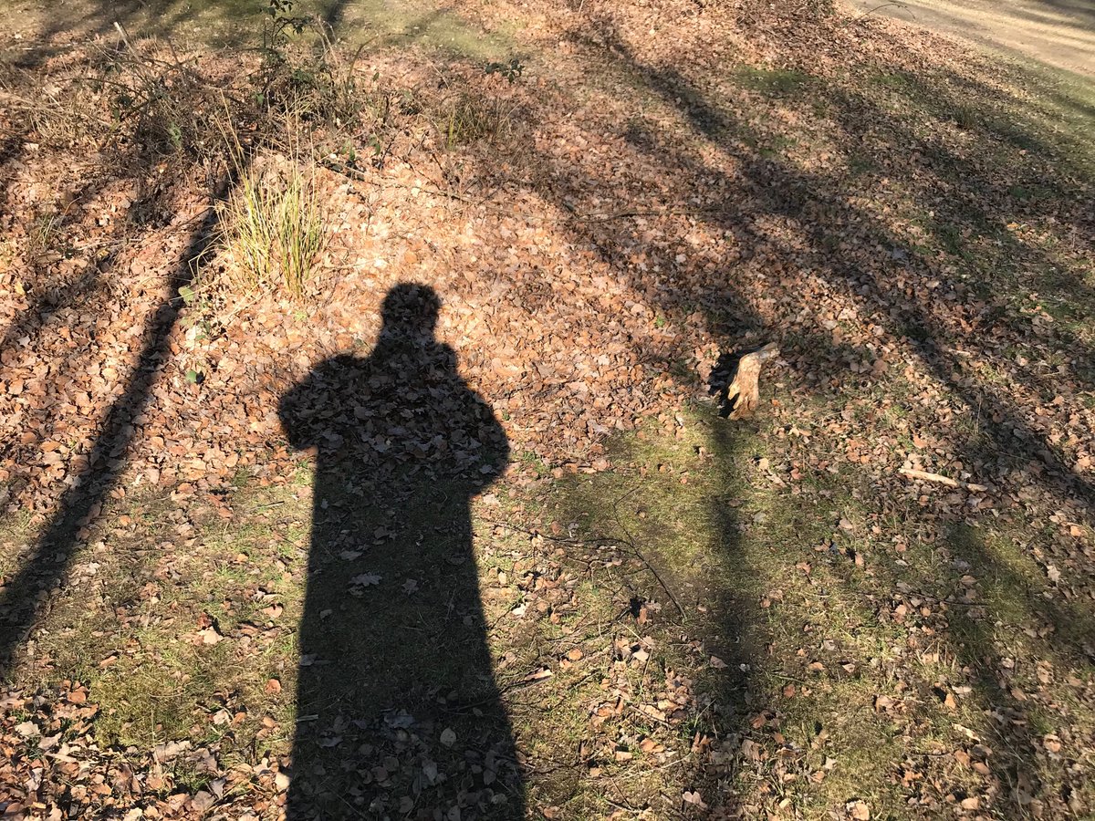 A Vision of Britain tweet media