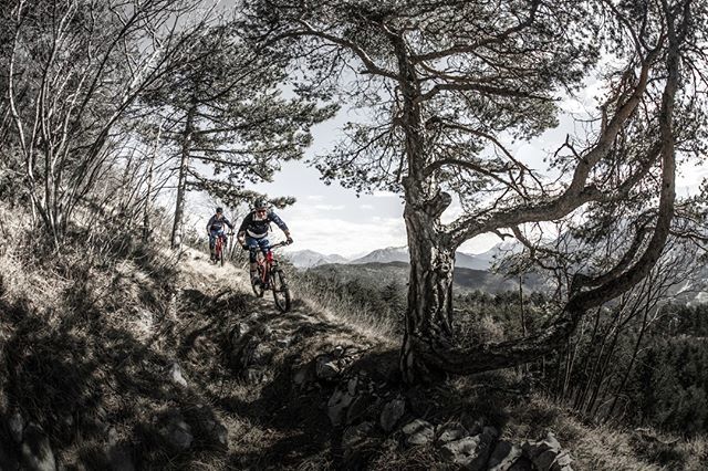 ROTWILDBIKES's tweet photo. One of the best feelings and one of the many reasons why we ride bikes: chasing your buddy down your favourite trail. โฃ
โฃ
#fitnessfriday #hellopain #burningmuscles #pushinghard #followyourgoals #crossfit #crossfitgirls #fitnessmotivation #fitspo #traโฆ https://t.co/WkA3GZrlNP https://t.co/LqsRiYtCEi