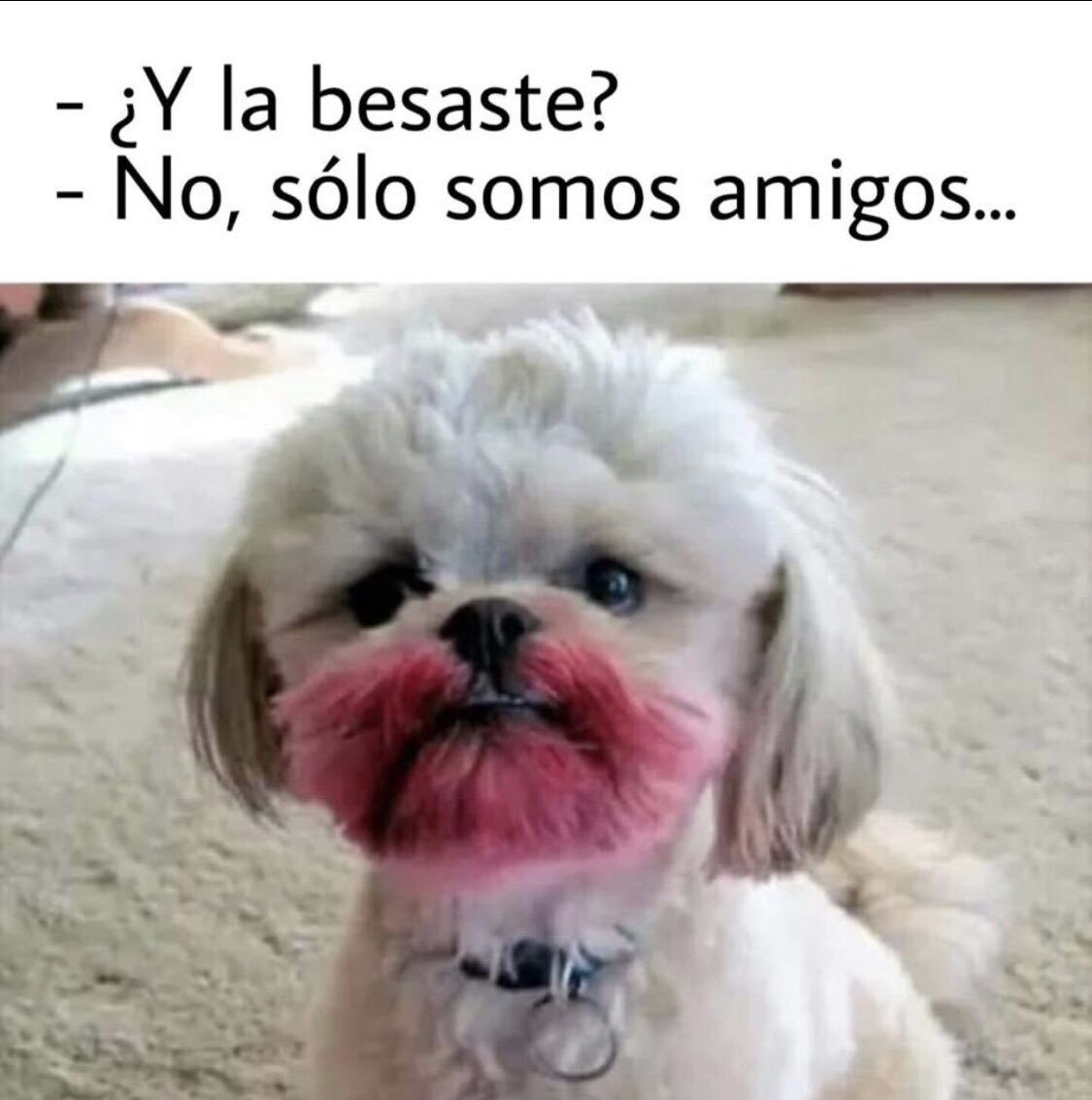 ClauAri's tweet photo. #momartes #FrescoRMX @dnl @moytriana @RMXradio auténticos decadentes https://t.co/nUgyr9QeNh