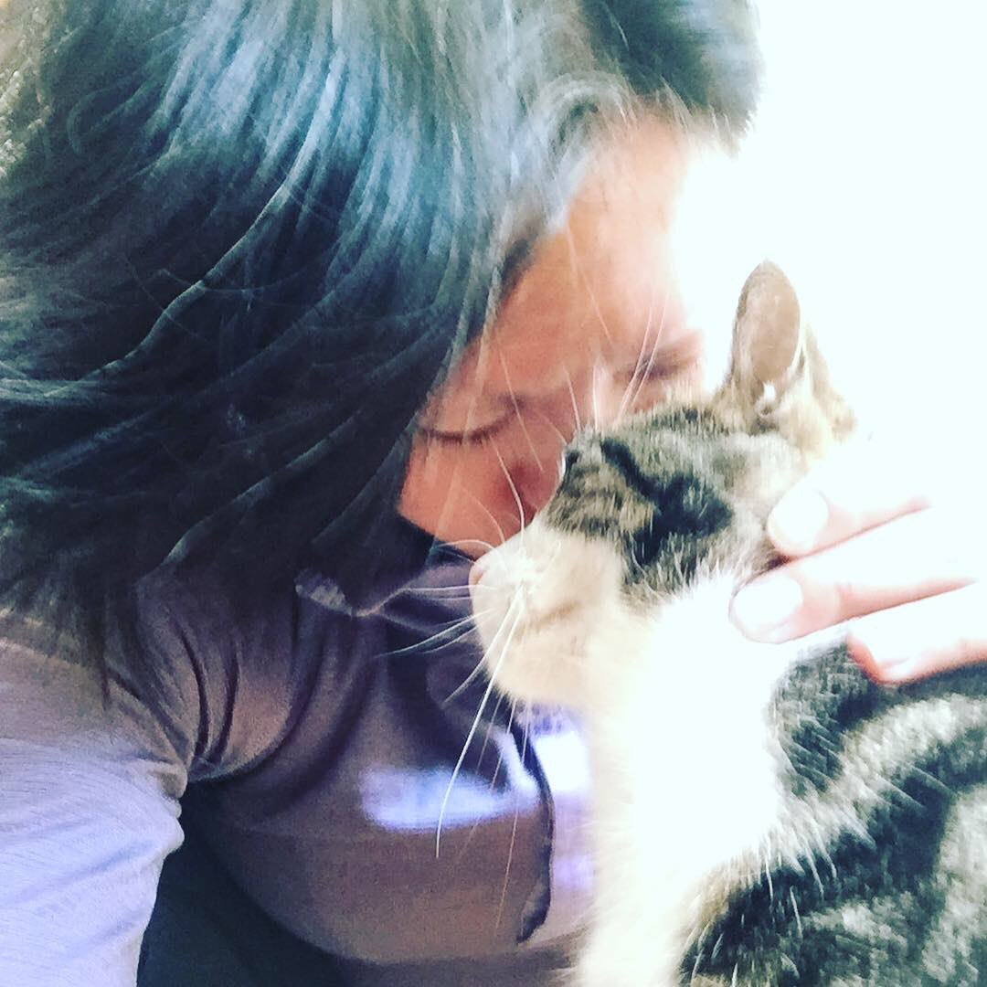 eljeejavier's tweet image. Chaton isn’t the snuggly type EXCEPT when I’m stretching after a run 🤔😅😊                         #running #cats #postrunning