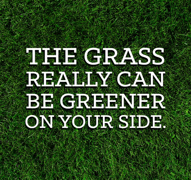 The grass can be greener on YOUR side.
#Landscaping #LandscapingContractor
Try #Done4You #SocialMediaManagement
bit.ly/Try2WeeksFREE