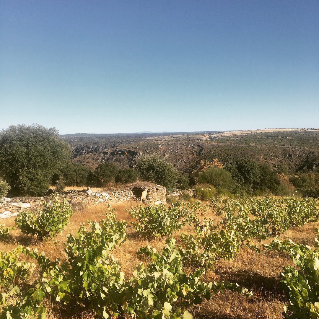 Brindisa tweet media