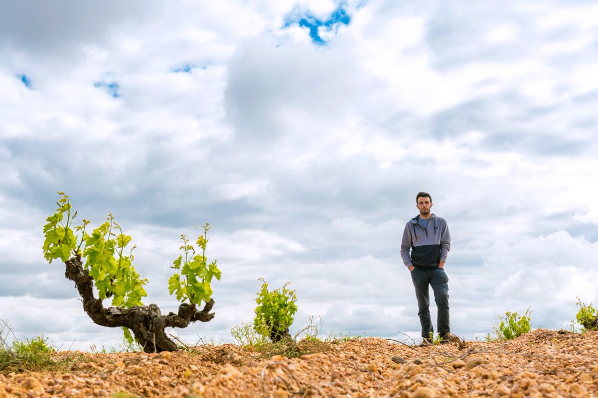 Brindisa tweet media