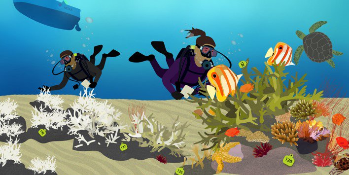 #Educators, looking for tools and lesson plans on #coralreefs? We’ve got you covered! go.usa.gov/xE5XM